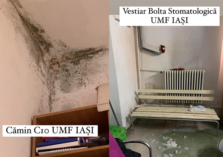 FOTO Cămine cu igrasie și gândaci, vestiare insalubre la UMF Iași: studenții solicită renovarea de urgență și cer intervenția Ministerelor Sănătății și Educației. Avocatul Poporului s-a autosesizat